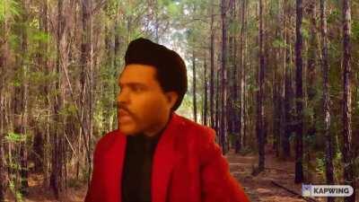 Griplocking your disc on a wooded course be like