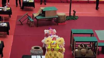 1st Southeast Asia Lion Dance Championship Fresstyle Category with female dancers and Muslim girl as lion head. This team is the 3rd runner up.