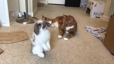 Just a reminder for everyone to leap forward tomorrow for Daylight Savings Time