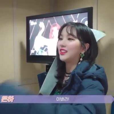 Where did you get that. 😅