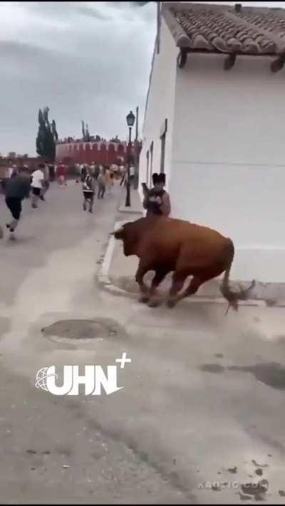 Bull charges a woman who was distracted on her cell phone