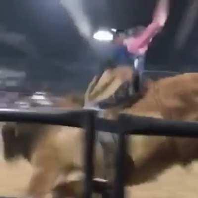 You’ll never guess what’s about to happen 😂