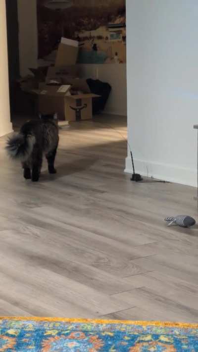 When she can't get the bird off the stick she must scream