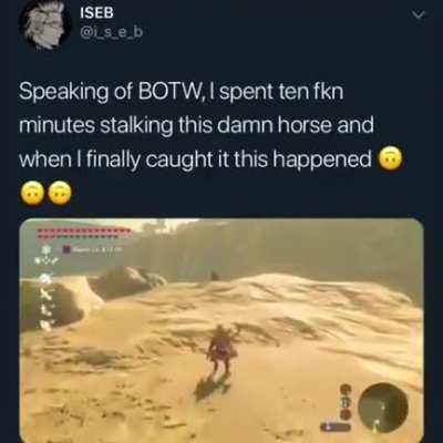 That animal really doesn't want to be domesticated.