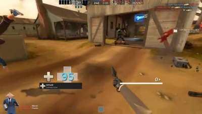 Ragdolls are amazing