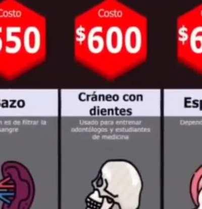 BeelcitosMemes - Video #3215