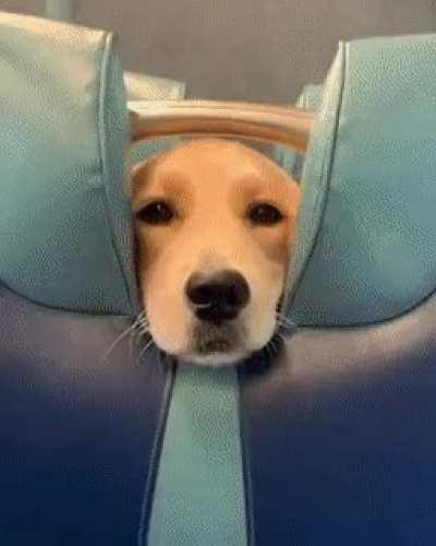 Train seat comes with a special feature