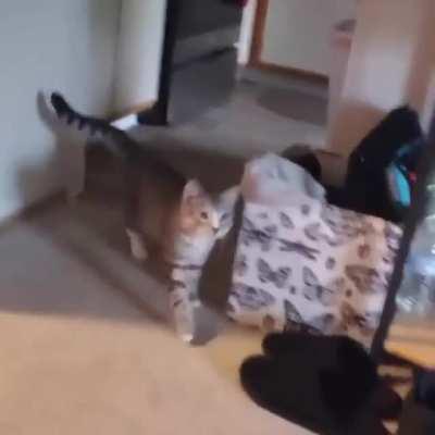 Where the heck did it go?