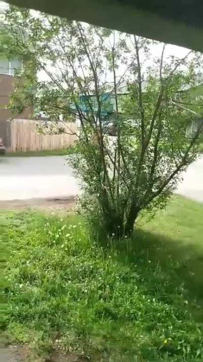 Karen calls police on man sitting in his car outside his own house