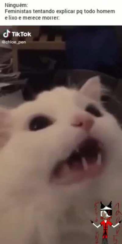 O melhor título da história