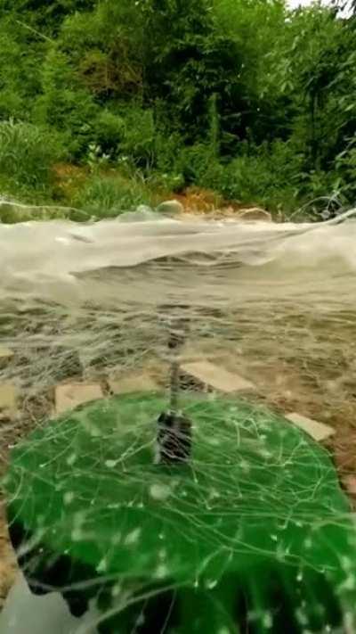 One thousand wet noodles.