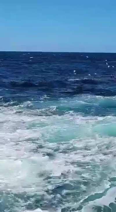 Fatal shark attack off Little Bay Beach in Sydney's Eastern Suburbs on Thursday 17 Feb 2022. Man was out out on his daily afternoon swim. Please understand that ocean swimming is dangerous.