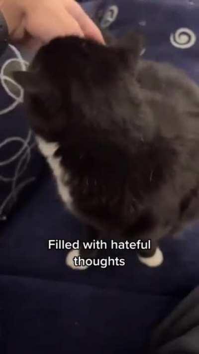 Most dangerous creature on the planet