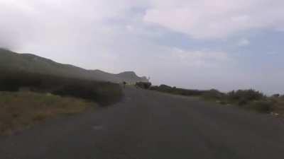 Cyclists being hunted by enormous African goose