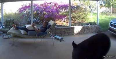 Quiet Sunday afternoon Read 