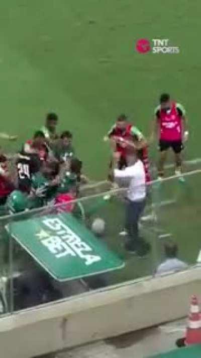 average brazilian match