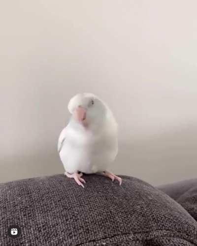 Hypno. Disturbed dancer of death.