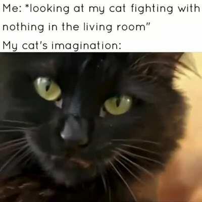 A new challenger approaches