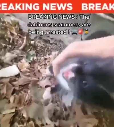 The leaders of the wunkus criminal organisation have been caught.