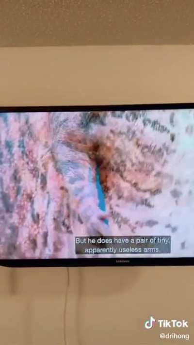 Official Carno Courtship dance?