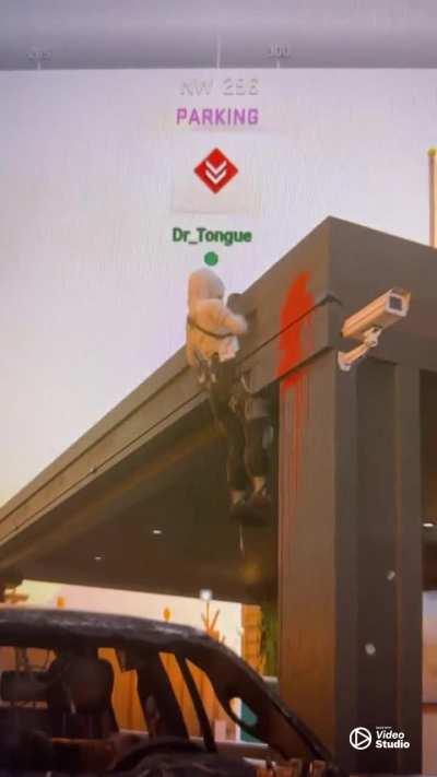 Imagine trying your ass off in ranked and you see this guy trolling