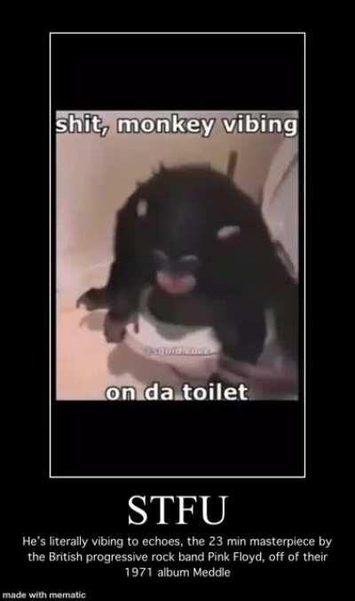 Seamus (that’s the monkey)