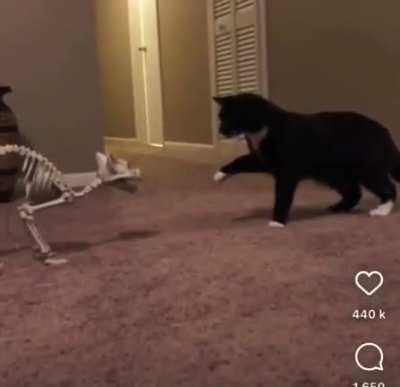 Truthfully I’d be scared too