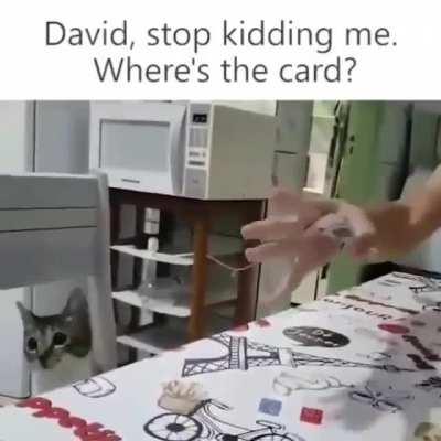 Holly Meowww... David stop kidding... Where's fluffin card...!