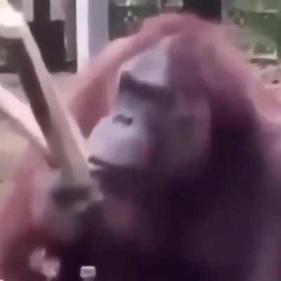 He do be building though