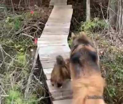 You never know when it could happen