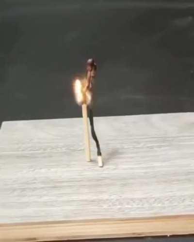 The enchanting kiss of physics