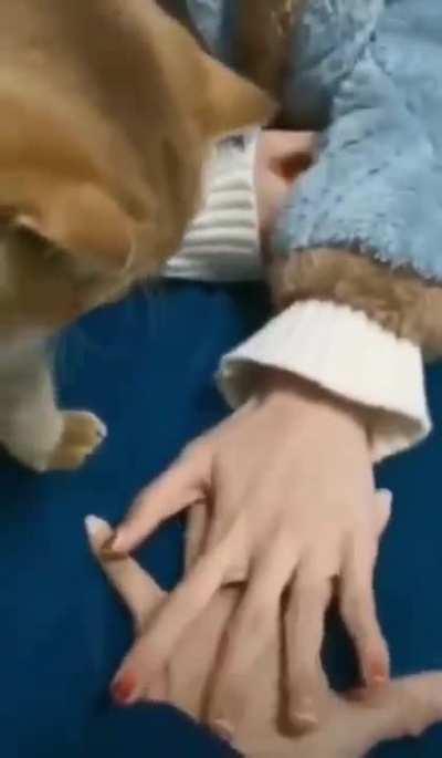 We are - best friends forever!