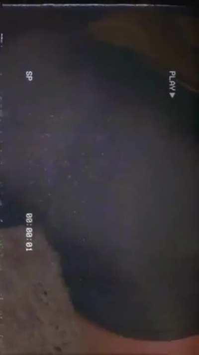 News year’s resolution: stop wearing pants when I go out. This ass is TOO fat for me not to show it off🍑 IG: rose.lexxie