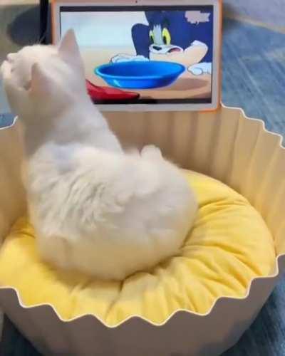 Wait, what about me?