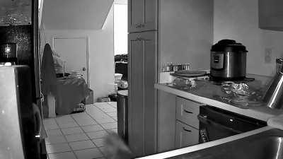 Yes, aluminum foil does wonders for keeping cats away from things.