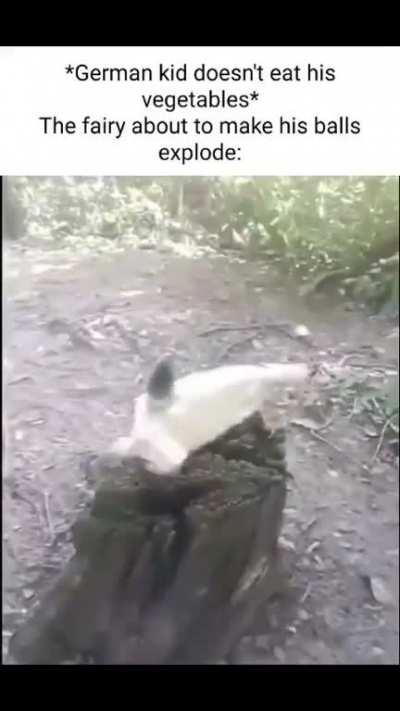 Average German fairytale