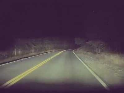 AP swerving to avoid hitting a moose after it started to run across the lane moments before going out of frame