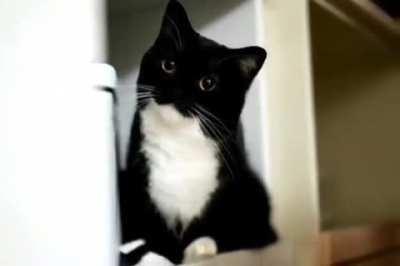 redscarepod - Video #2276