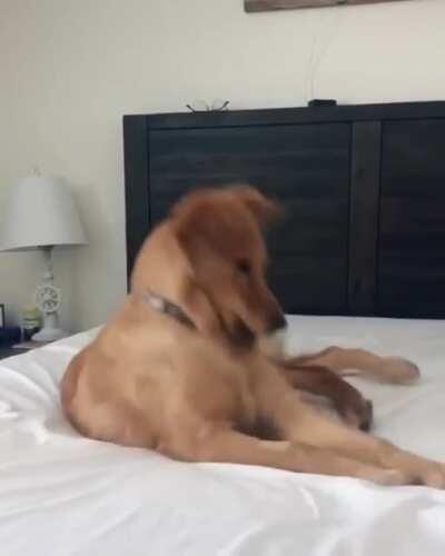 I said EGYPTIAN. COTTON. SHEETS. BRENDA!!! What are we, Barbarians?