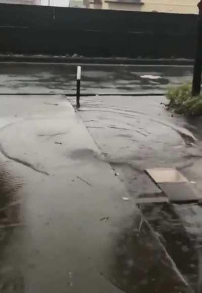 Even ghosts get zoomies!