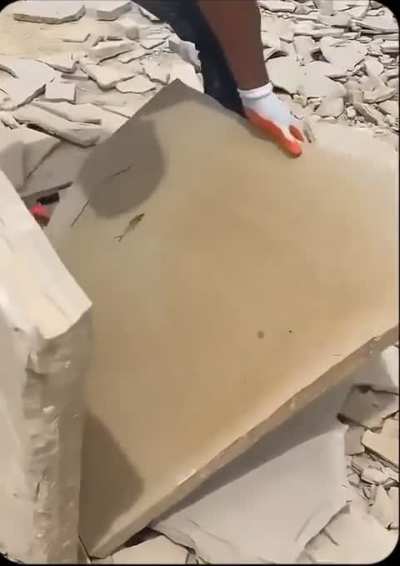 A perfectly preserved fish fossil revealed inside a limestone slab