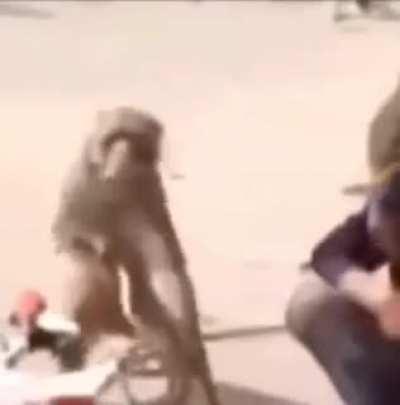 Armanemm baba narde charshafemmmm part 2 xD