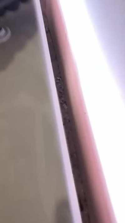 Just in case you need a hatch to death.