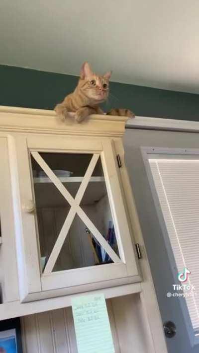 the eye contact 😮‍💨