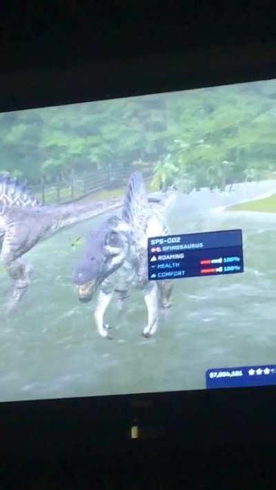 This happened to me has anyone else had this problem?