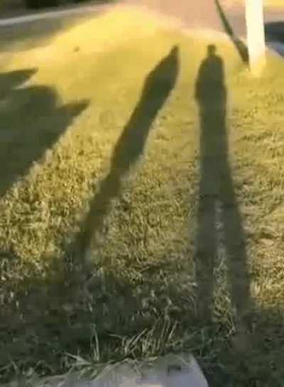 Well he answered the question