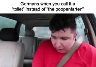 Deutsche marschieren ein