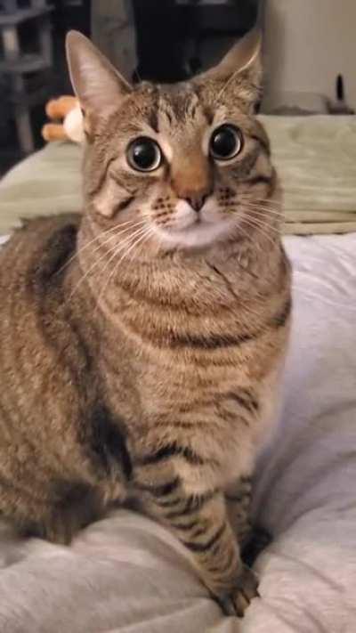 how she let's me know she would like to share my food