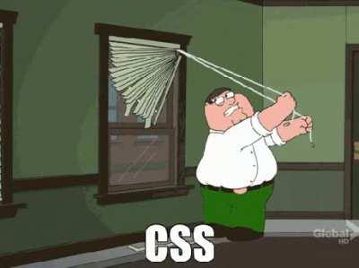 CSS