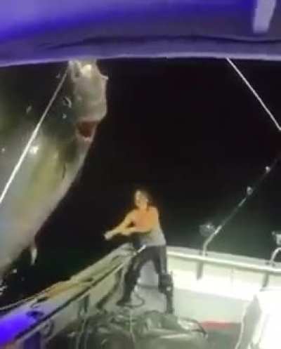 Michelle Bancewicz landed 1000 pound bluefin tuna solo in New Hampshire